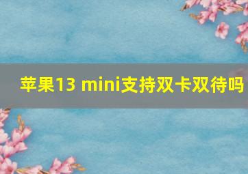 苹果13 mini支持双卡双待吗